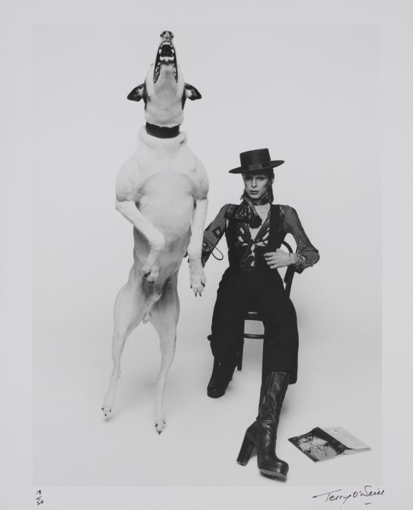 Black and white photograph of David Bowie seated next to a dog jumping up