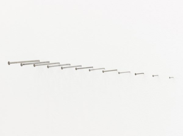 A line of twelve nails hammered partially into a white wall organized from thickest on the left to thinnest on the right