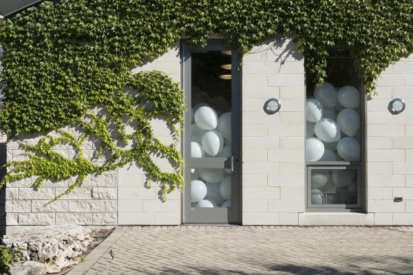From outside a building covered in ivy, two thin vertical windows reveal white balloons filling half the space inside