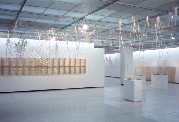 Installation of artworks on the walls and ceiling of a white gallery space