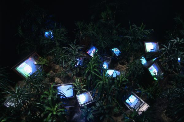 TV monitors amid plant material in a dark room