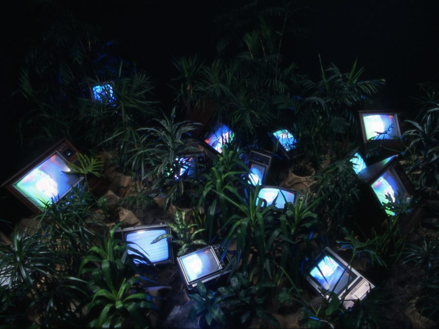 TV monitors amid plant material in a dark room