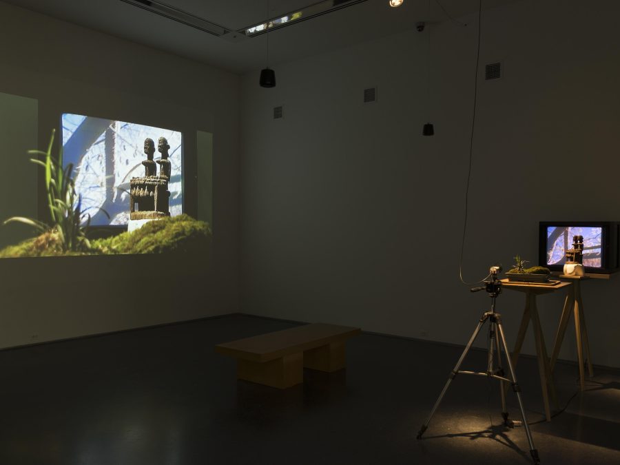 An image projected on the wall is created by three tripods in a row: the first holds a camera, the second a miniature landscape, and the third a small sculpture in front of a monitor depicting tree branches and the sky.