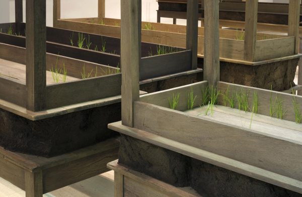 A close-up image shows several rectangular wooden tables and secondary, identical tables stacked upside-down on top with thin blades of green grass poking out of them.