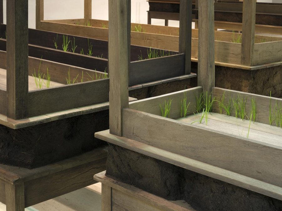 A close-up image shows several rectangular wooden tables and secondary, identical tables stacked upside-down on top with thin blades of green grass poking out of them.