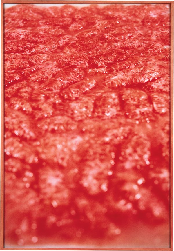 Abstract pink artwork featuring a tongue like texture