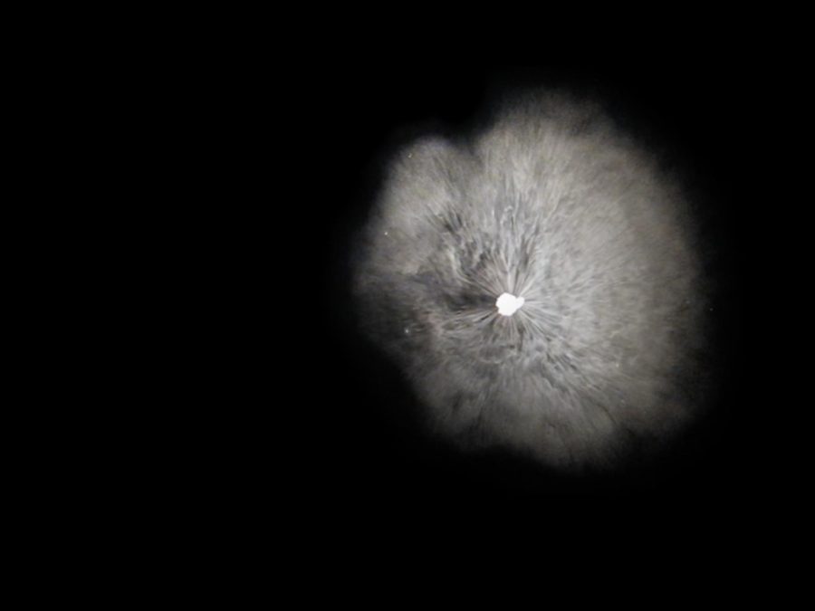 Just right of center, an organic round shape in a hazy light gray seems to emerge from a jet black background. It hovers around or behind a bright white spot at its center.