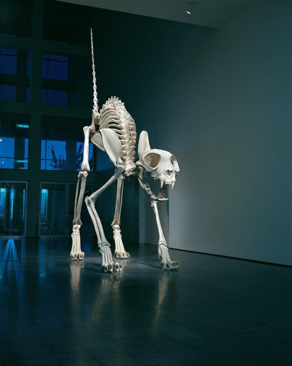 A gargantuan cat skeleton appears in the center of a large atrium with its back arched and its tail pointed straight up in the air. The cat is spotlit in the darkened space adding to the drama of the scene.
