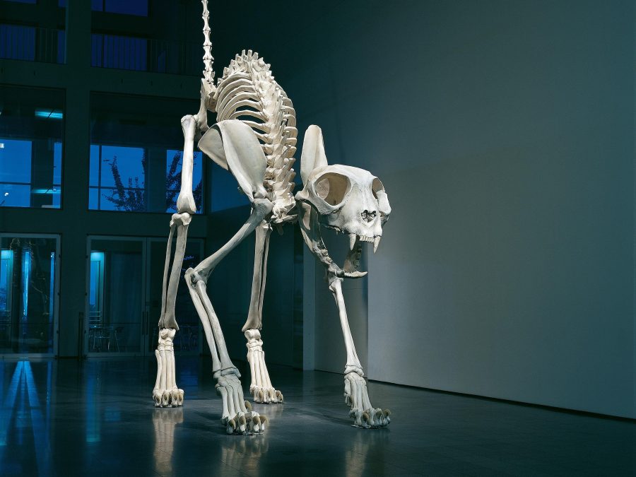 A gargantuan cat skeleton appears in the center of a large atrium with its back arched and its tail pointed straight up in the air. The cat is spotlit in the darkened space adding to the drama of the scene.