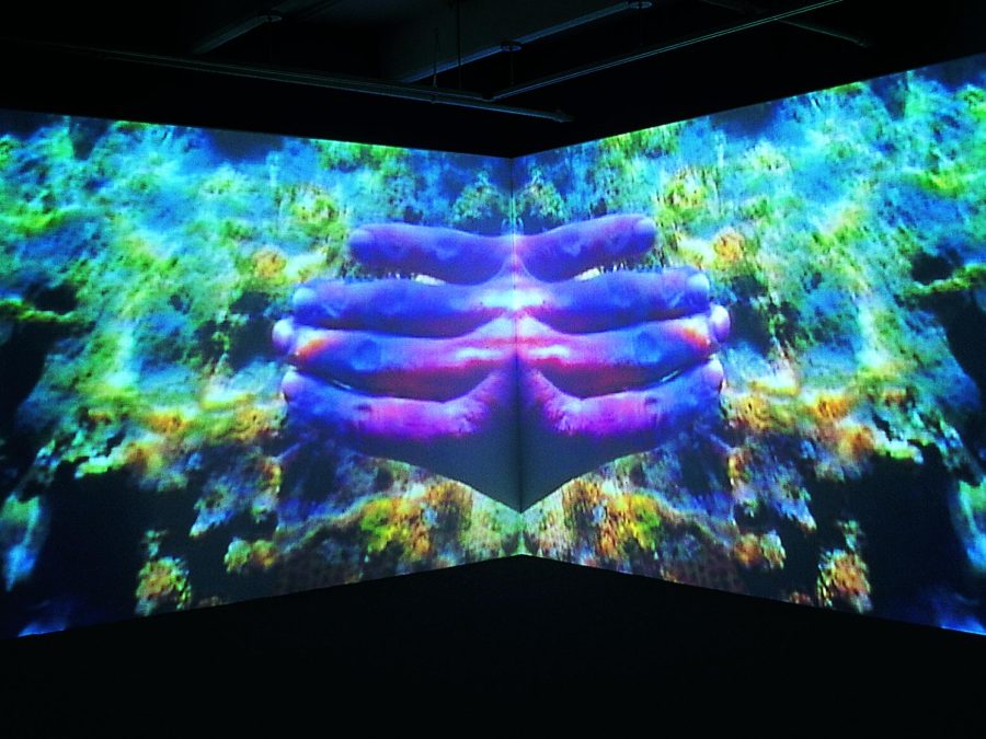 A screen shows a projected image of an underwater scene with fingers in the center. The image is mirrored along the vertical plane.
