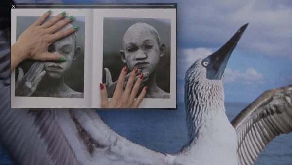 A picture-in-picture frame featuring two hands touching two pages of an open book with portraits of young children on them covers a painting of a sea bird.