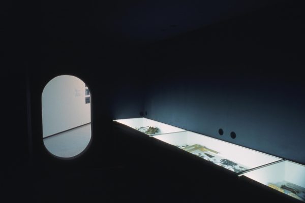 A dark room with an illuminated display table and a pill-shaped door leading to a well-lit room