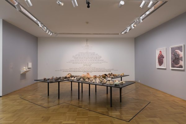 A large table with rocks and minerals delicately arranged sits in front of a wall covered in text.