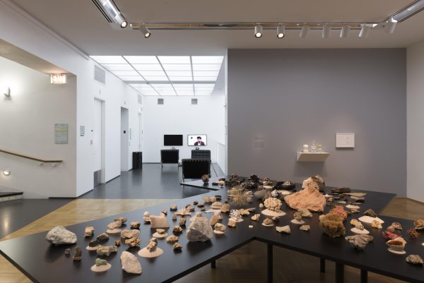 A large table holds rocks, minerals, and other substances that are delicately arranged.