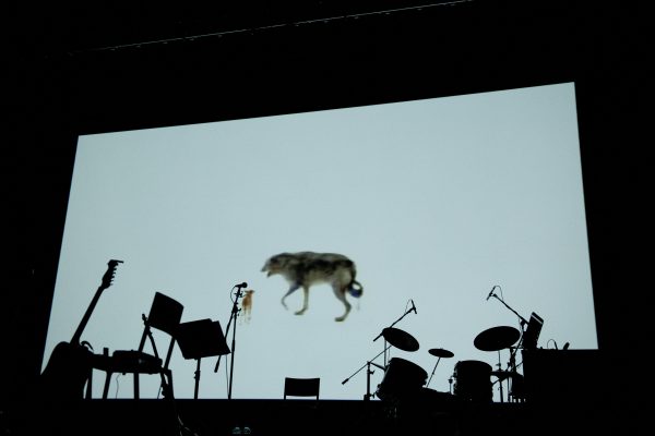 A band setup featuring a guitar, microphone, and drums appear as dark shadows in front of a large projection screen displaying a wolf and a small animal against a white background.
