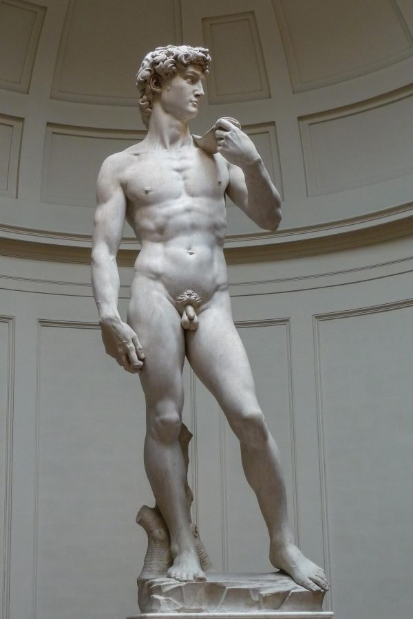 The statue of David by Michelangelo
