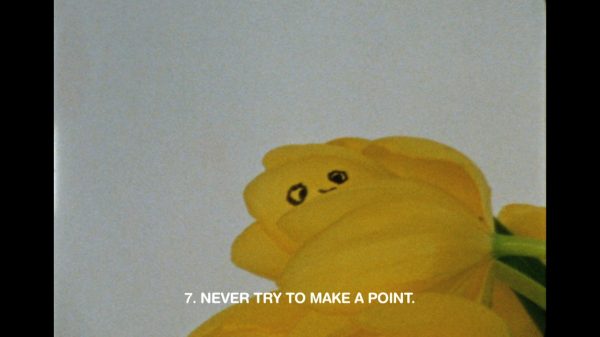 A yellow flower with eyes drawn on it and white text over it reading 7. Never try to make a point.