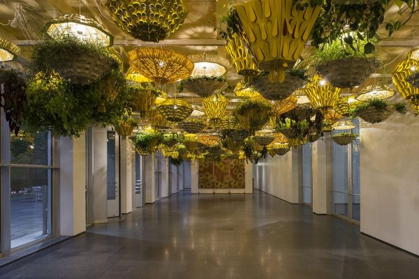 Hanging planters that also act as lights seem to take over an otherwise empty space with many windows and doors