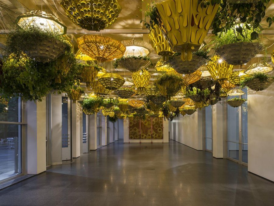 Hanging planters that also act as lights seem to take over an otherwise empty space with many windows and doors