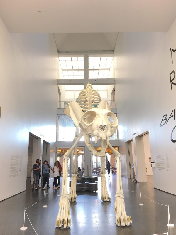 A full-frontal view of a gigantic cat skeleton in the center of a large bright atrium with its back arched and its tail pointed straight up in the air.