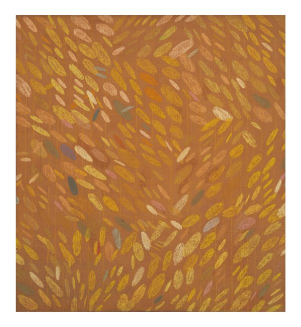 Irregular ovals in different shades of yellow and orange and interspersed with muted green, blue, and pink ovals cover a brownish orange background marked with faint grid lines.
