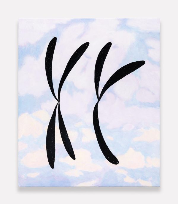 On a background of soft pink and purple clouds, large X and Y chromosome illustrations float like strange butterflies.