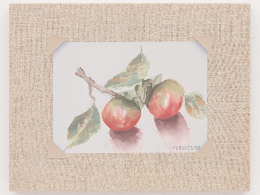 A muted watercolor painting of two red and green fruits with large leaves.