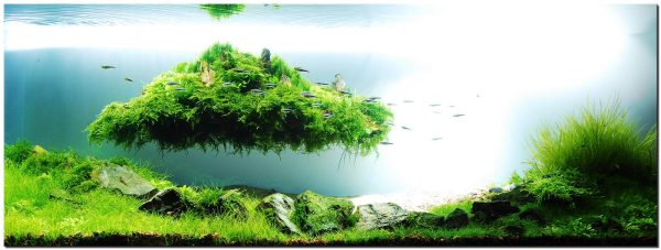 A digital landscape with a small green island floating above water and sky