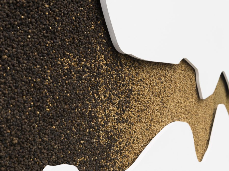 You stand very close to a white gallery wall and look along a crack upon its surface filled with a lightening gradient of brown organic material.