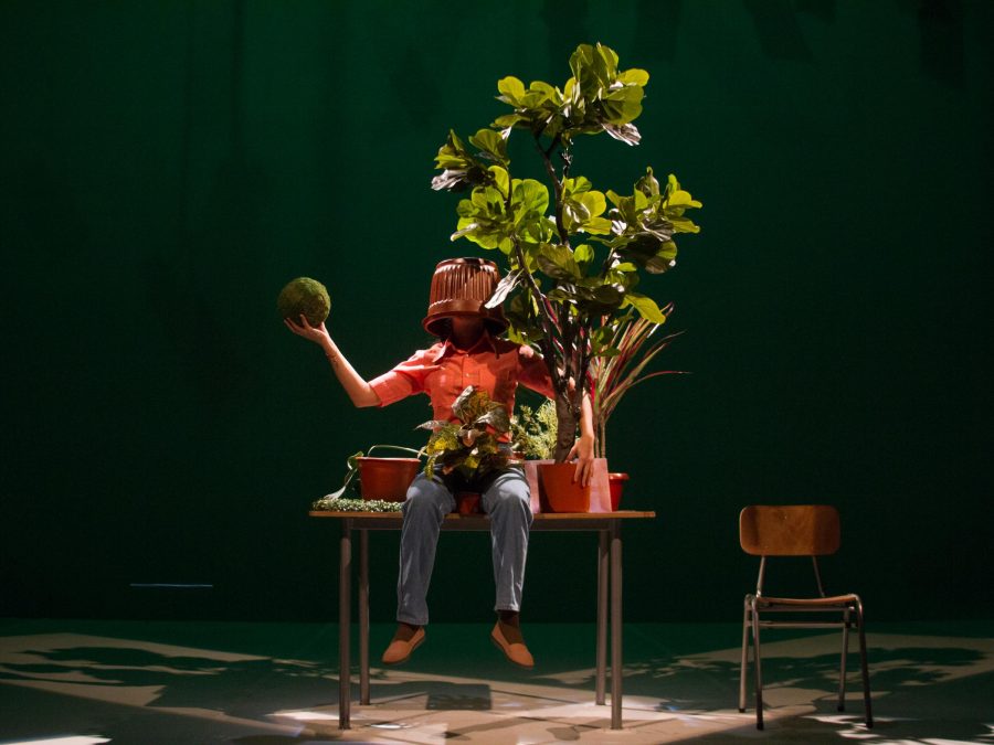 A person with a plastic planter on their head holds a large fruit in their right hand while hugging a fiddle leaf fig tree while sitting on a table with a wooden classroom chair nearby