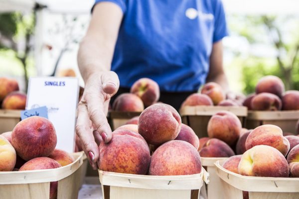 A person in a blue shirt reaches their right arm out toward a basket of peaches