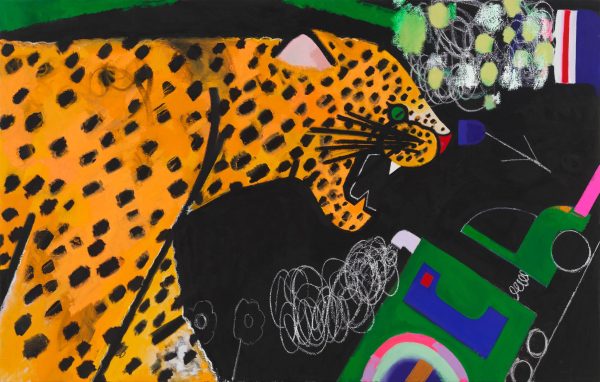 A yellow, spotted leopard opens its mouth and bares its teeth.