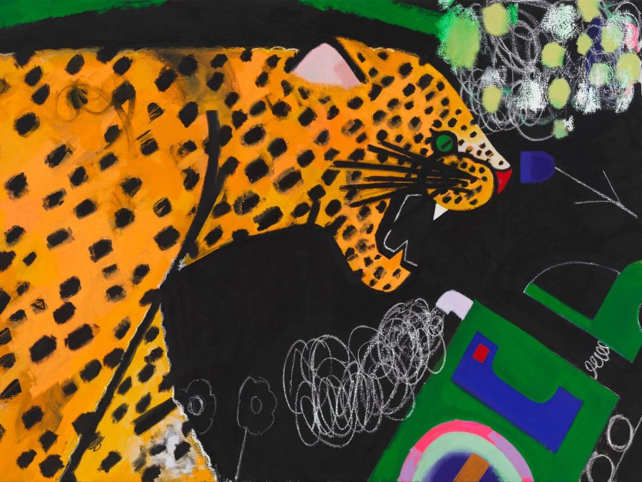 A yellow, spotted leopard opens its mouth and bares its teeth.