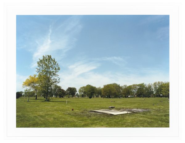 A sunny plain with trees in the distance. In the foreground, several wooden boards cover the earth. You can barely see small flowers and other markers denoting that this is a cemetery