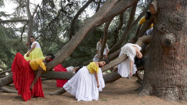 A group of people in white, red, or yellow Mexican style outfits draped over the limbs of a tree
