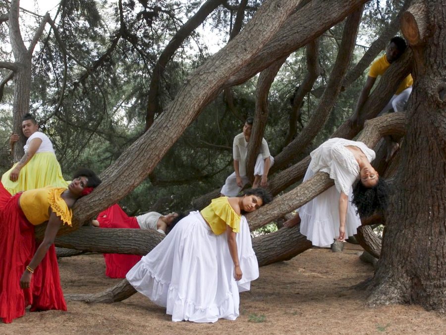 A group of people in white, red, or yellow Mexican style outfits draped over the limbs of a tree