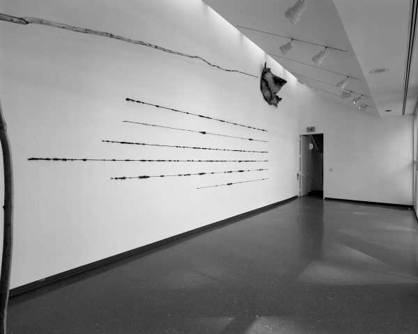 Minimalist installation featuring seven horizontal lines that start and end in different places on a white wall