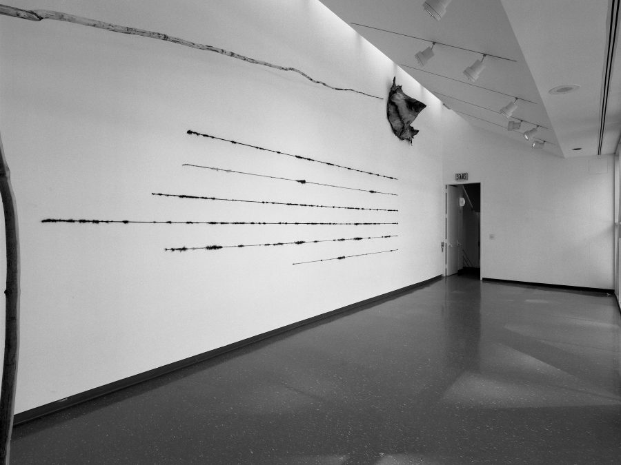 Minimalist installation featuring seven horizontal lines that start and end in different places on a white wall