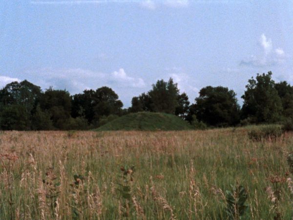 A prairie landscape on a sunny day