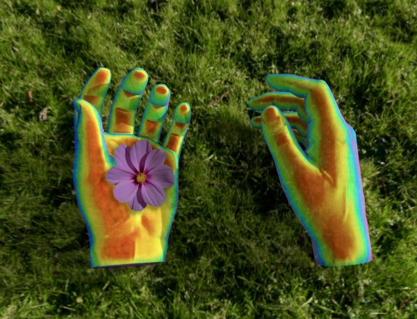 video capture of two virtual 3D hands set agains background of lush grass